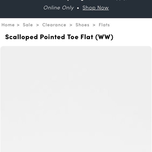 Scalloped Pointed Toe Flat (WW) - Picture 3 of 5
